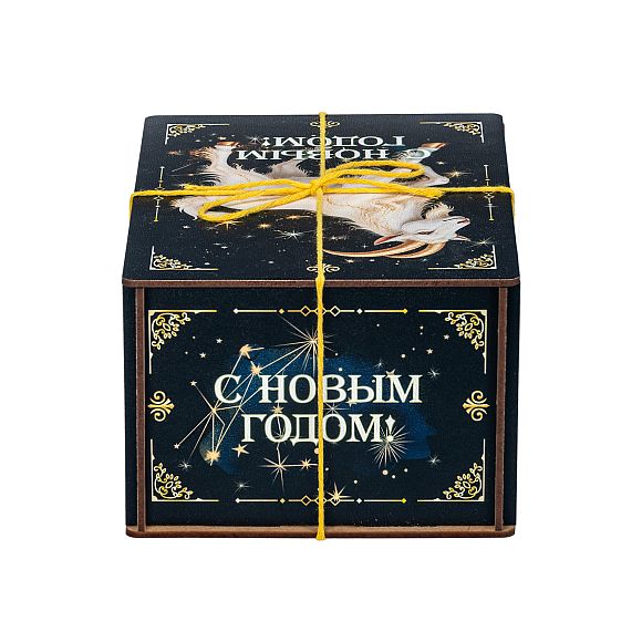 Сладкий новогодний подарок Сладкий подарок для ребенка «Созвездие Козерога»